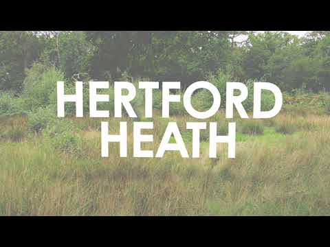Hertford Heath Nature Reserve
