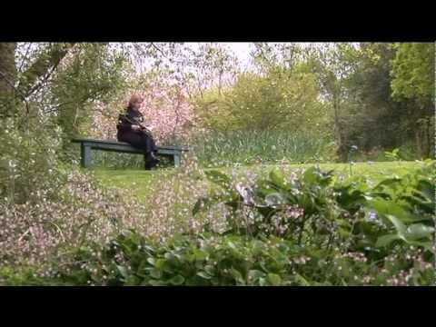 Docton Mill Gardens and Tea Room, Hartland, North Devon