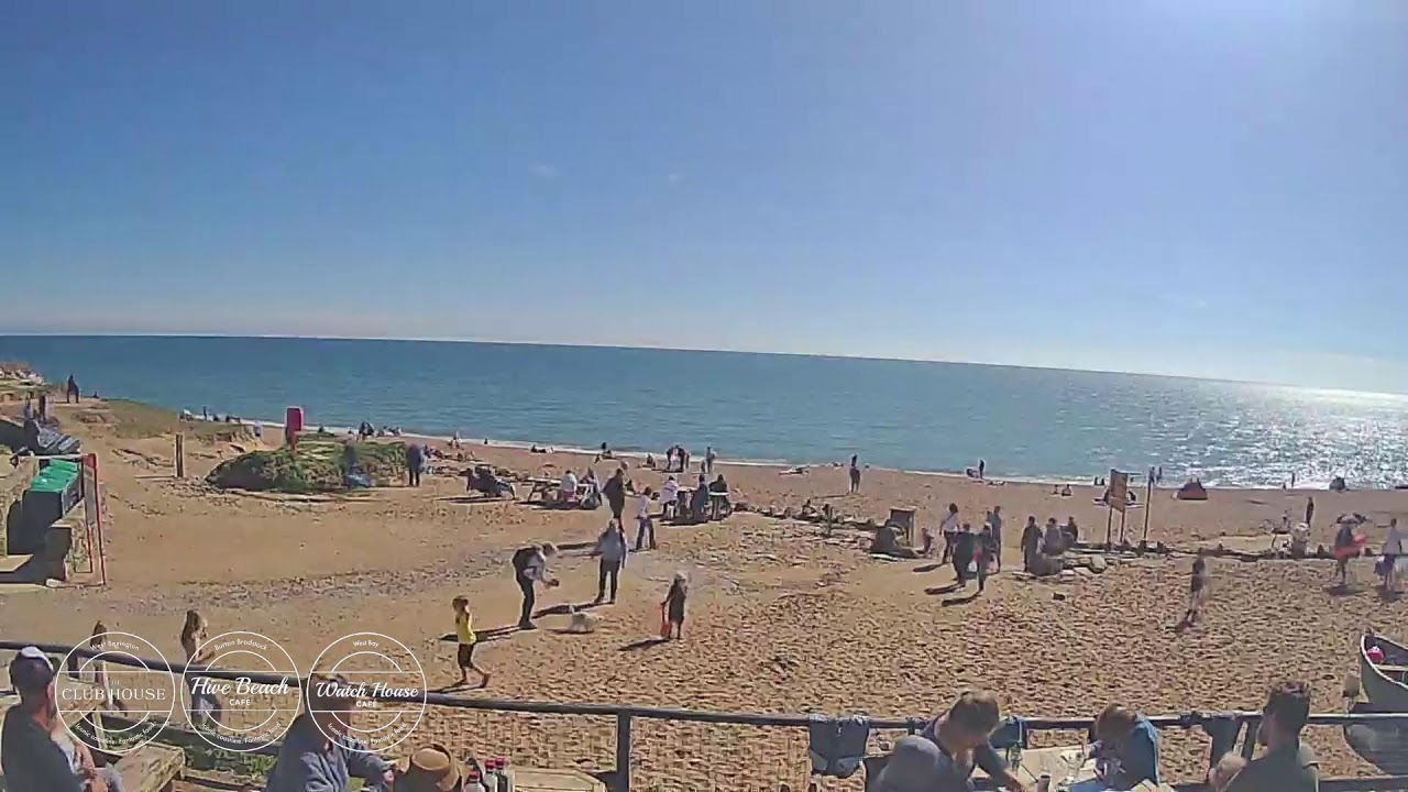 Hive Beach Cafe Live Stream