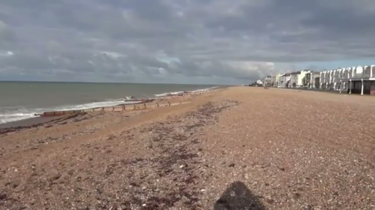 Worthing Beach, West Sussex | Dog-Friendly Guide 🐾