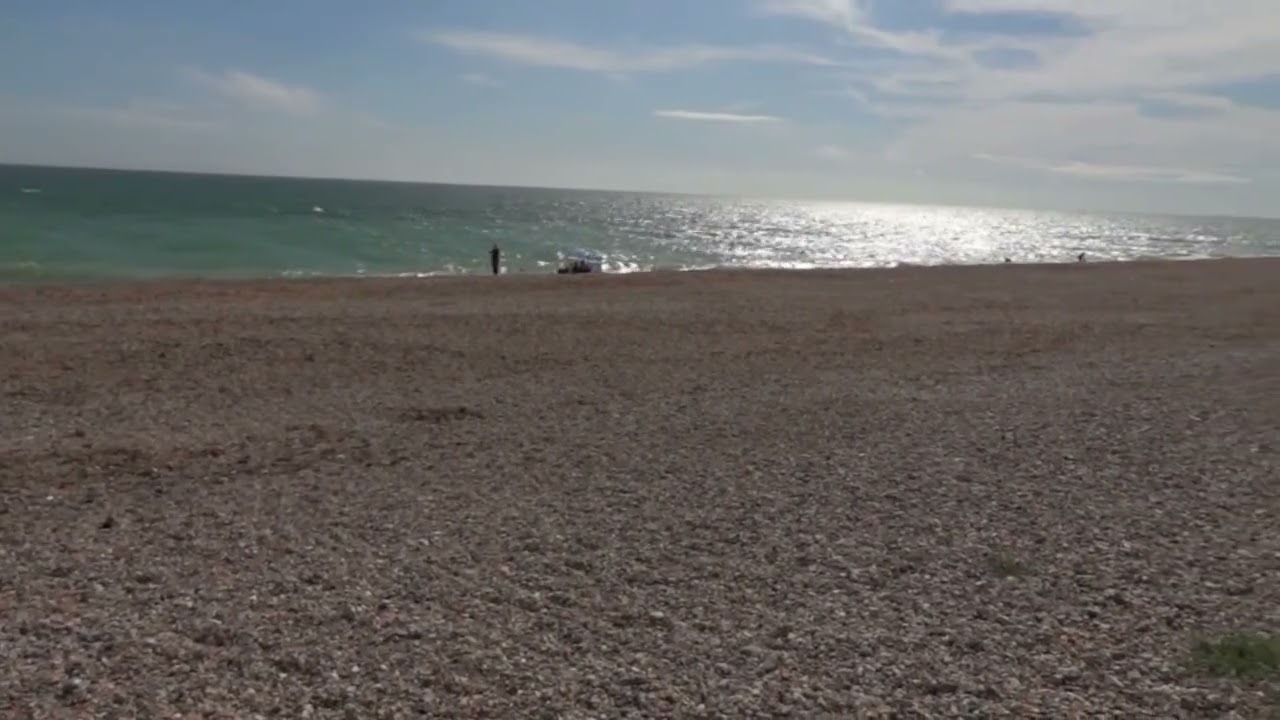 Shoreham Beach, West Sussex | Dog-Friendly Guide 🐾