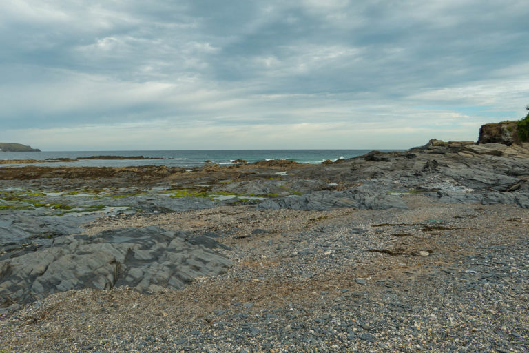 Newtrain Bay 1000077 768x512