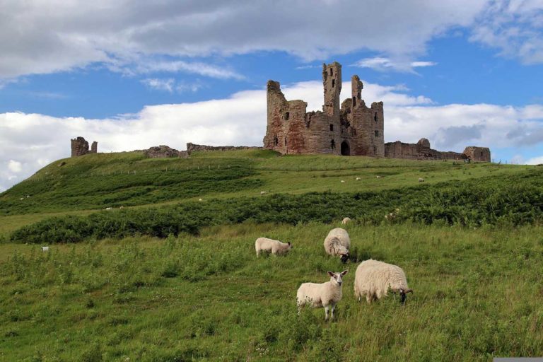 dunstanburgh castle northumberland 768x512