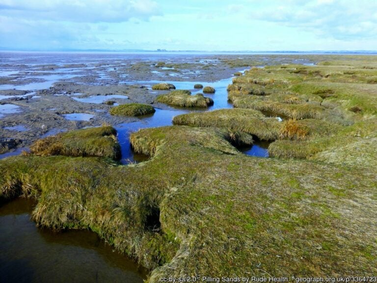 Pilling Sands 768x576