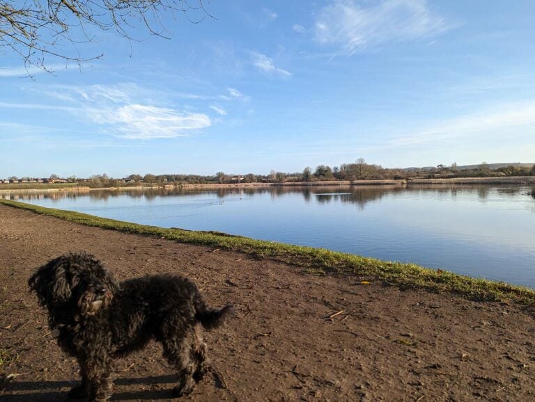 Marsworth Reservoir 1 768x578