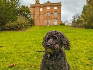 Hughenden Manor, Buckinghamshire
