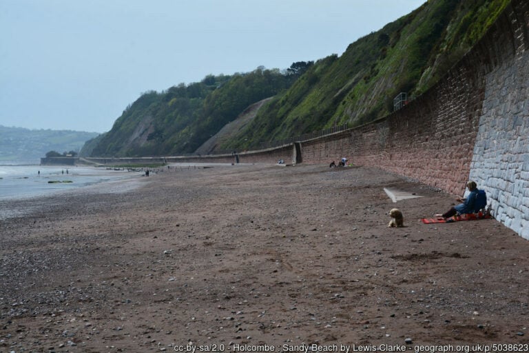 Holcombe Beach 768x512