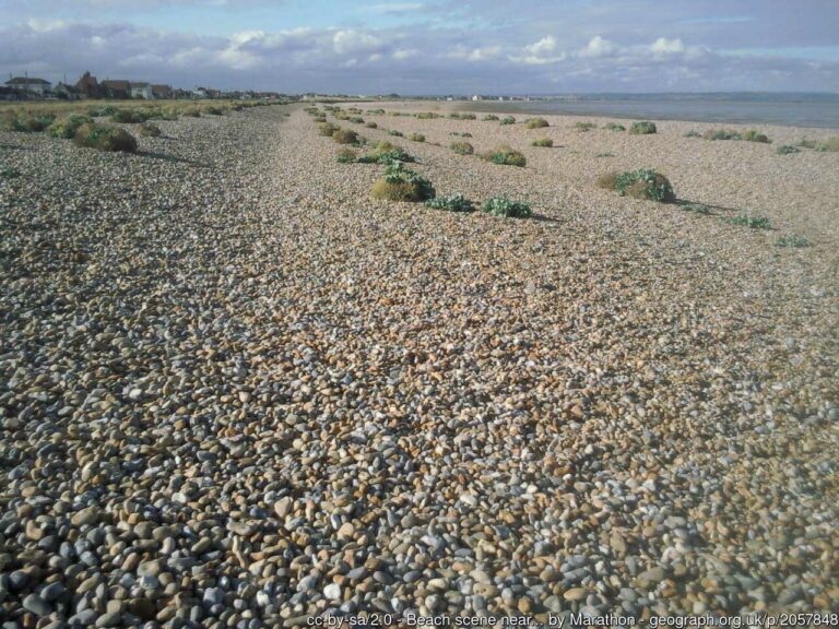 Greatstone Beach 768x576
