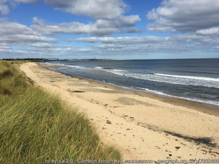 Cambois Beach 768x576