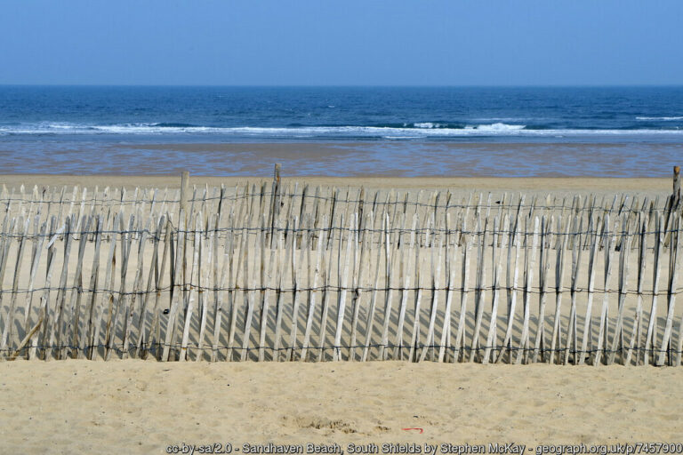 sandhaven beach 768x512