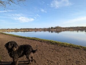 Marsworth Reservoir