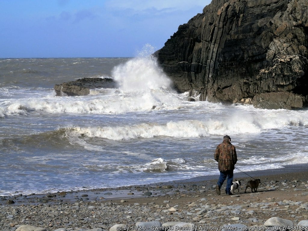 Cwmtydu Beach dog walks