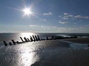 Dog Friendly Carmarthenshire