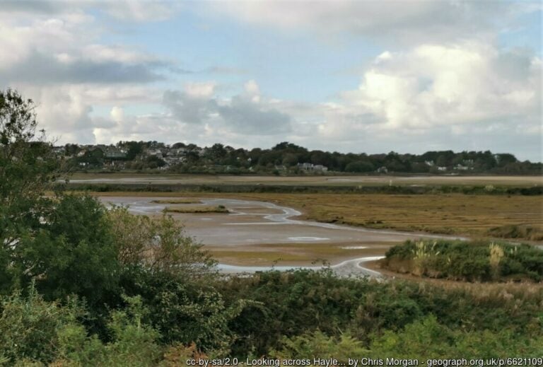 Hayle Estuary Nature Reserve 768x519