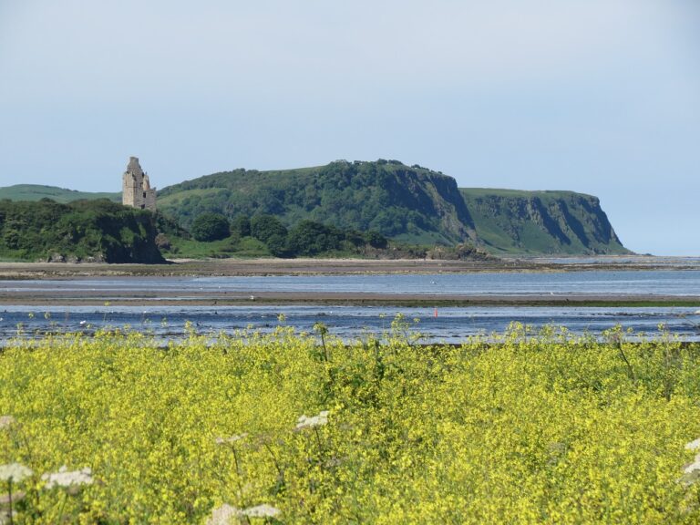 Greenan Castle 768x576