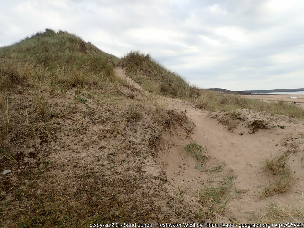 Freshwater West Sand Dunes