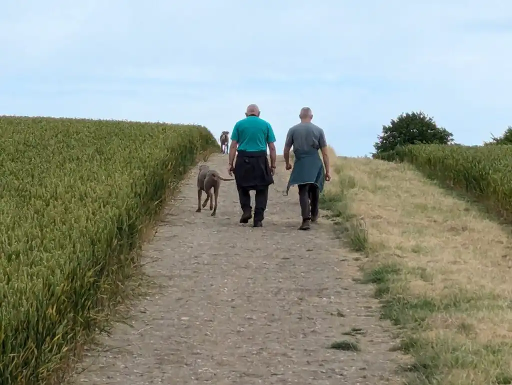 Ivinghoe Beacon Field Path