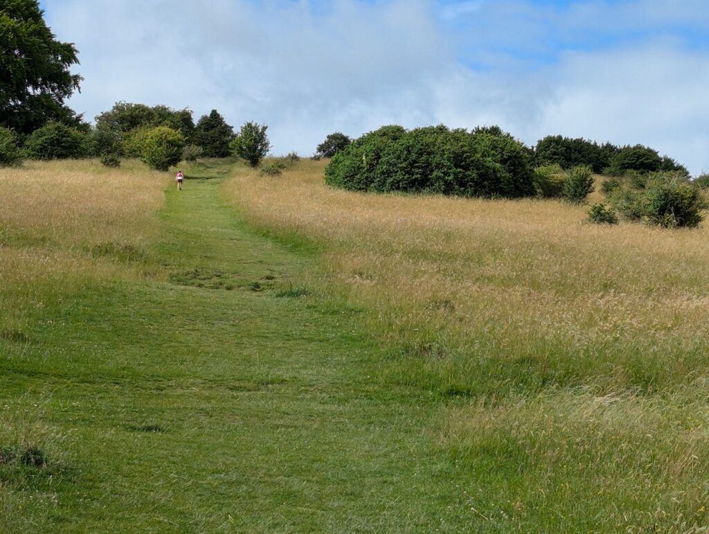 Ivinghoe Beacon Hill to Car Park