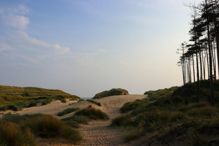 Newborough Forest and Warren 768x512