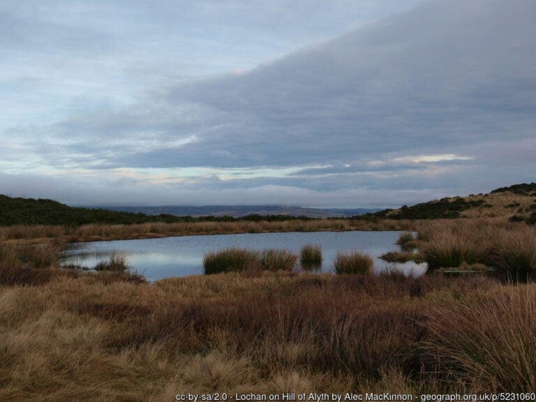 Lochan on Hill of Alyth 768x576