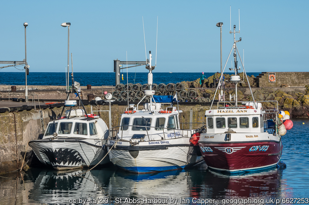 St Abbs Harbour