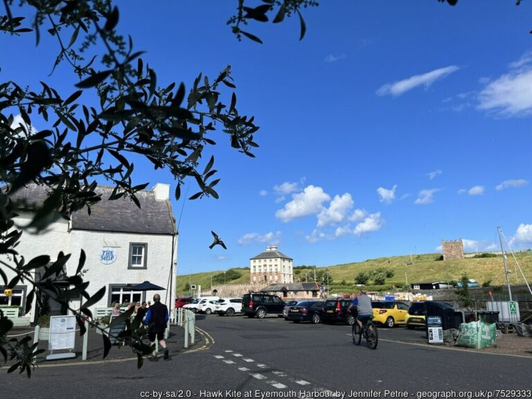 The Ship Eyemouth 768x576