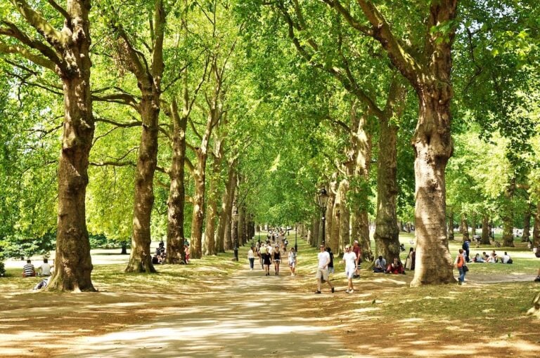 green park london 768x510