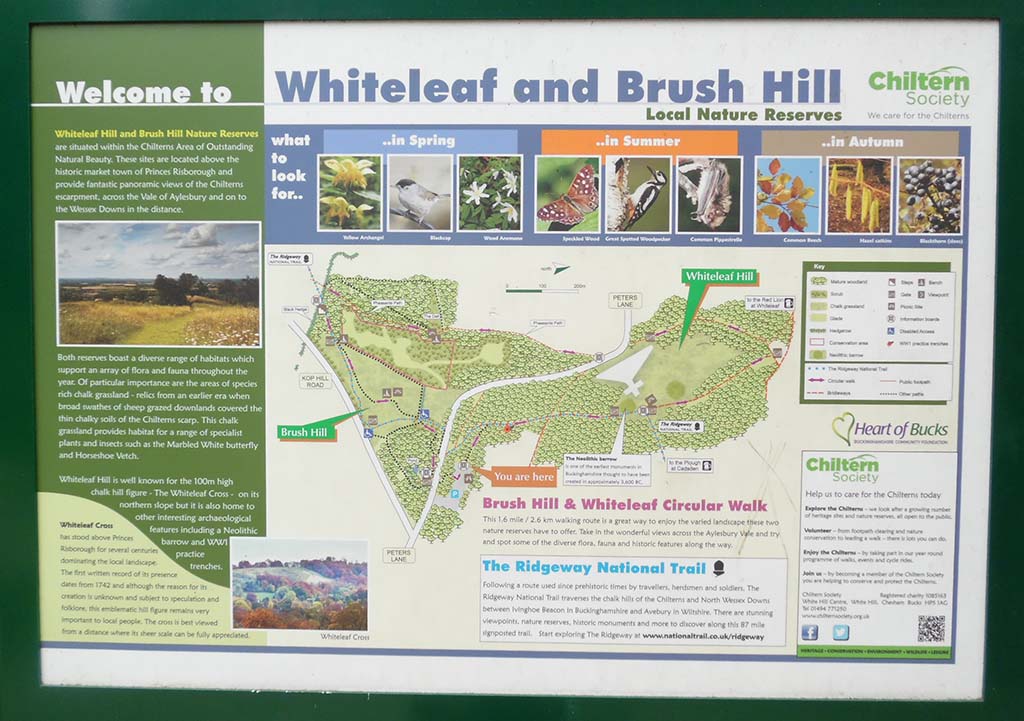 Whiteleaf and Brush Hills Information Board