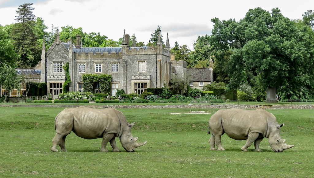 Cotswold Wildlife Park