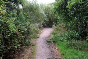 Sence Valley, Ibstock, Leicestershire