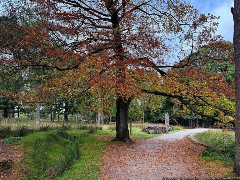Longshaw Estate 768x576