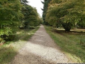 Blackwater Arboretum, New Forest, Hampshire