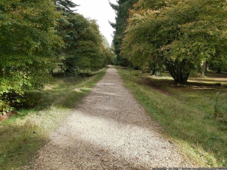Blackwater Arboretum Trails 768x576