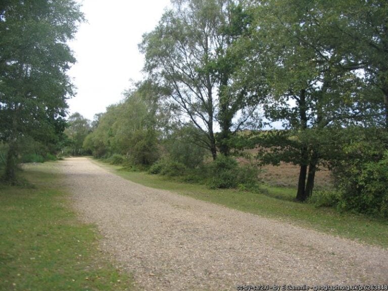 Castleman Trail 768x576