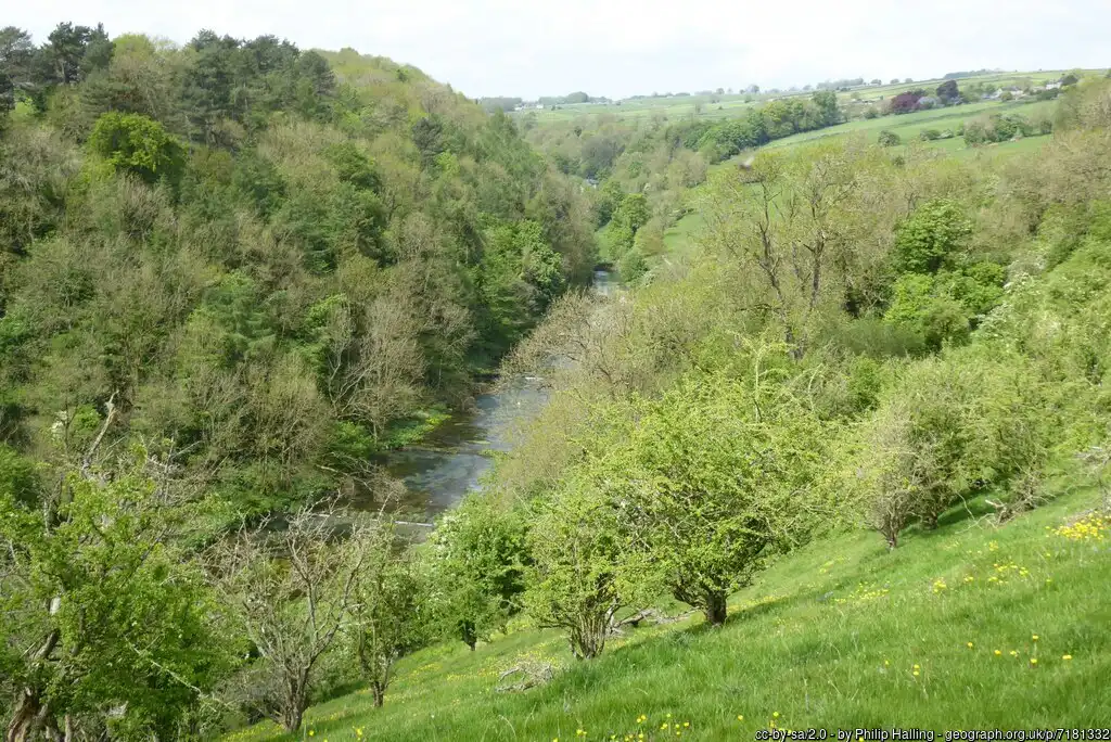 Lathkill Dale, Bakewell, Derbyshire Dales, Derbyshire