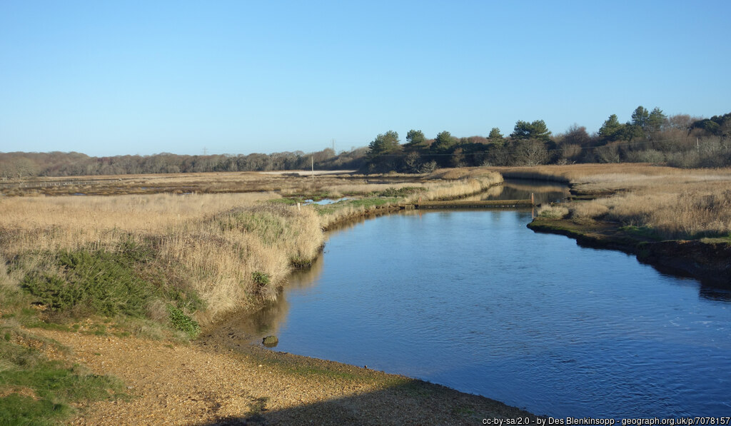Lepe Country Park