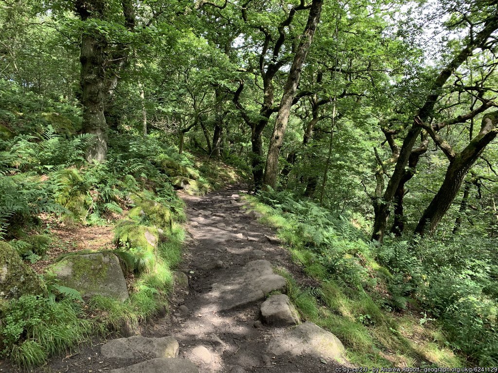 Padley Gorge
