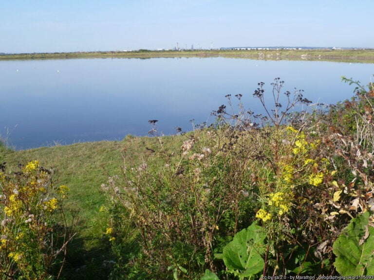 Cliffe Pools Nature Reserve 768x576