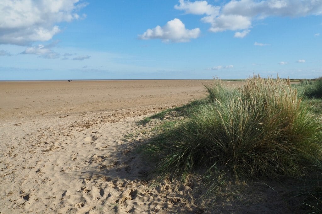 Theddlethorpe Beach 1