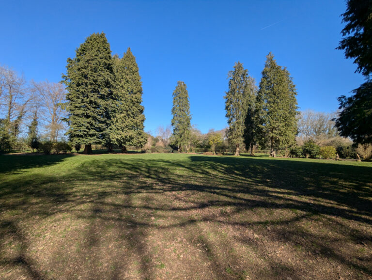 Whipsnade Dew Pond Enclosure 768x578