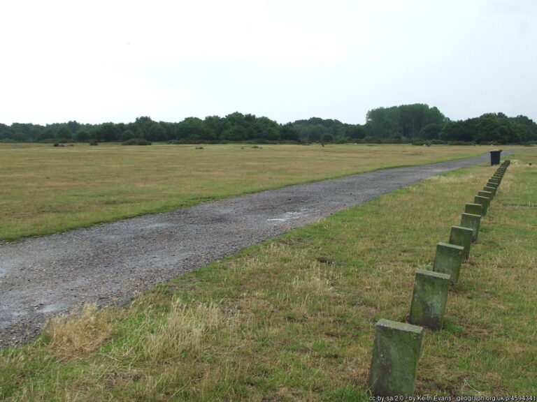 Beccles Common 768x576