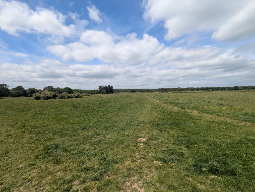 Northchurch Common Grassland