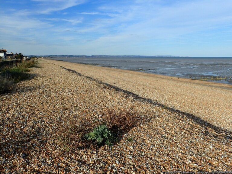 Littlestone Beach 768x576