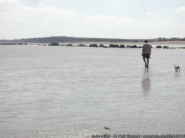 Fraisthorpe Beach dog walk