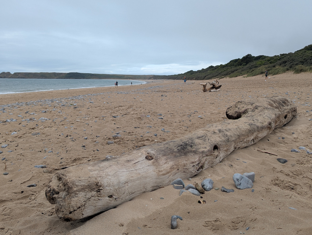 All Year Dog-Friendly Tenby South Beach