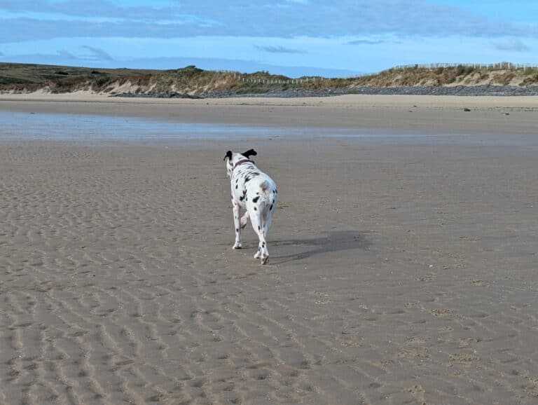 Walk on Penally Beach 768x578