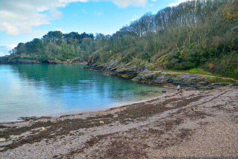 Churston Cove Beach Brixham 768x512