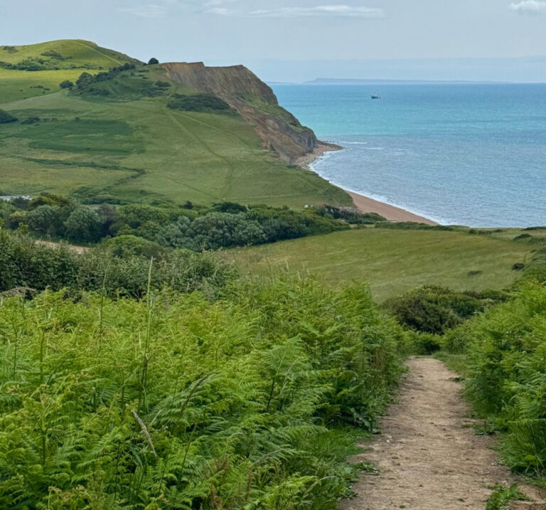 Golden Cap Jurassic Coast 768x717