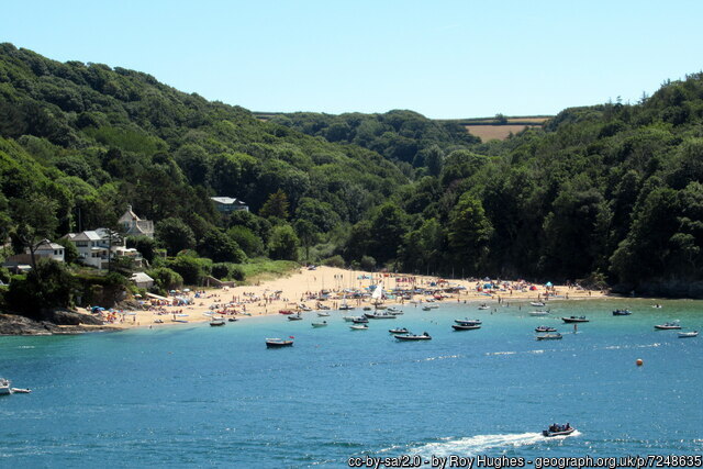 Mill Bay Salcombe
