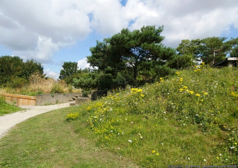 Milton Creek Country Park 768x545